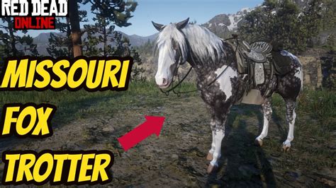 The Missouri Fox Trotter ! Red Dead Online! [RDR2] - YouTube