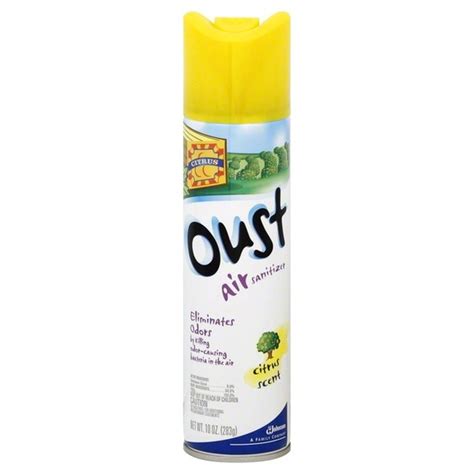 Oust Air Sanitizer, Citrus Scent (10 oz) - Instacart