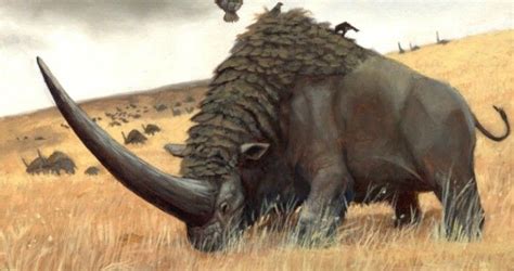 Unicorns actually existed—and they were terrifying | Ancient animals, Extinct animals ...