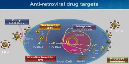 Antiretroviral Therapy: Key Facts - Assignment Point