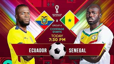 ECU vs SEN FIFA World Cup 2022 match: When and where to watch Ecuador vs Senegal live streaming ...