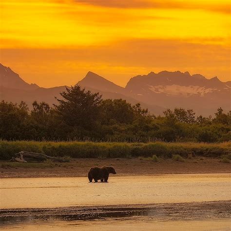 Katmai National Park & Preserve | Wildlife and Wild Lands