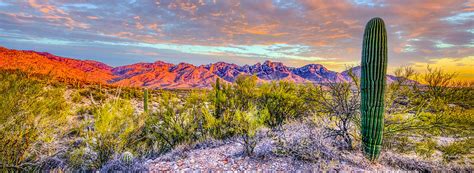 Catalina Mountain Sunset Photograph by Fred J Lord - Pixels