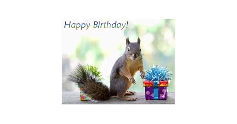 Squirrel Happy Birthday! Postcard | Zazzle