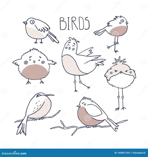 Cute Birds in Doodle Style. Birding and Ornithology Concept Stock ...