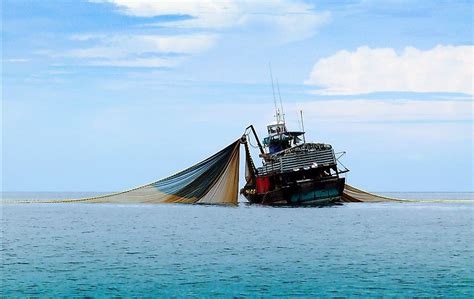 What Is Bycatch? - WorldAtlas