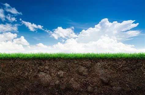 Soil and Grass in Blue Sky ⬇ Stock Photo, Image by © fotoslaz #34701039