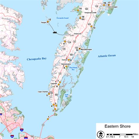 Eastern Shore | VDGIF | Eastern shore, Wildlife habitat, Shores