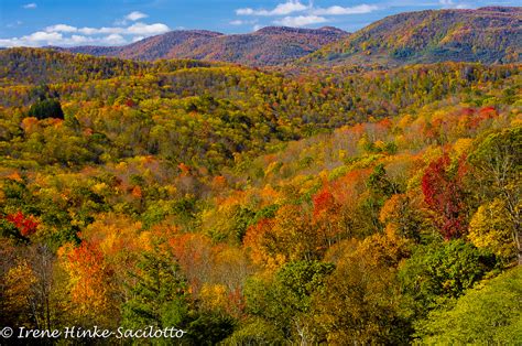 West Virginia Fall Foliage Photo Tour - Osprey Photo Workshops and Tours