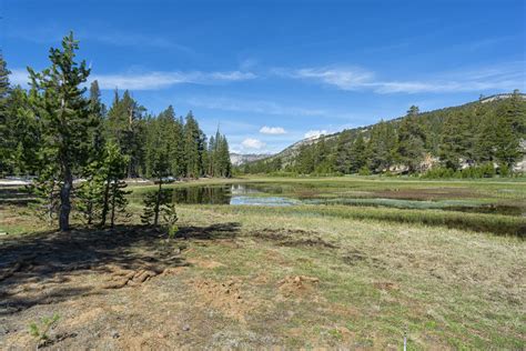 North Lake Tahoe Hiking Trails: Tahoe Meadows Interpretive Loop