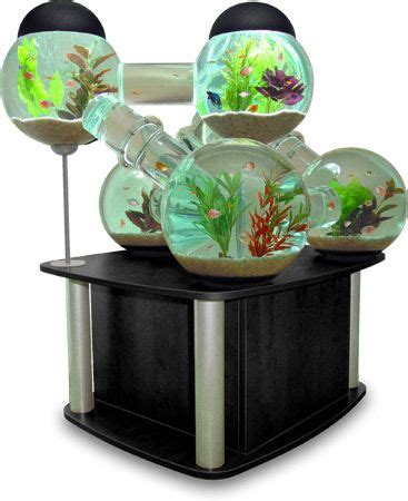 Biorb Aquarium Intratuin - Wese Aquarium Fish