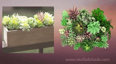 2 Realistic Artificial Succulents plant for Brighten your living corner