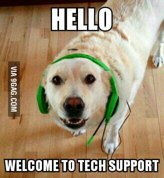 Customer support dog.. - 9GAG