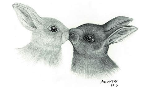 Kissing Bunnies Drawing by Ashley Cooper