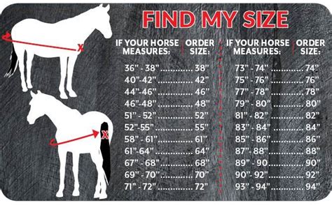 How To Measure Horse Blanket? • Support Wild