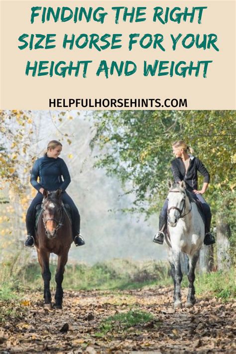 How to choose the right size horse based on your height and weight ...