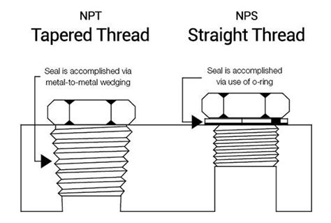 √100以上 1/4 npt male thread dimensions 333474-1/4 npt internal thread ...