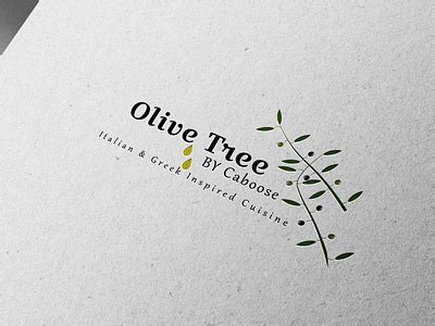 Olive Tree Logo by Sharif Ali on Dribbble