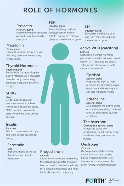 How Female Hormones Impact Women''s Health - Not Just Fertility