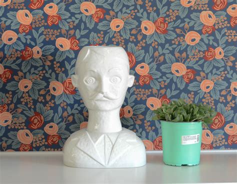 Vase vs Planter: A Ceramic Head Struggle - Wills CasaWills Casa