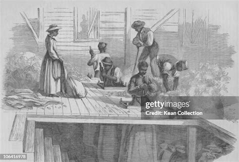 472 19th Century Working Plantation Stock Photos, High-Res Pictures ...