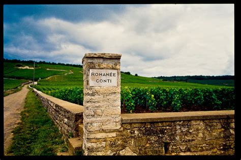 Domaine de la Romanee-Conti Leads Sotheby’s Wine Sales | Pinot noir, Wine sale, Domaine