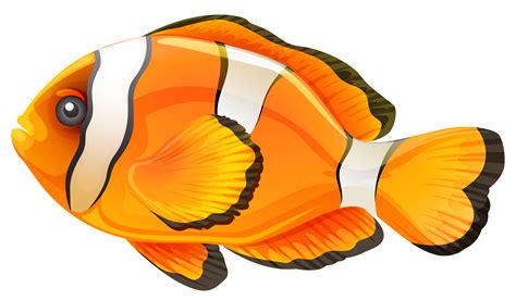 Clownfish Clip art - fish png download - 2904*1697 - Free Transparent Fish png Download. - Clip ...