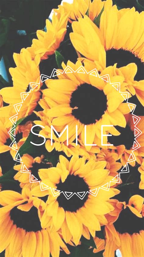 Cute Wallpaper Aesthetic Sunflower Quotes - Jack Bispo