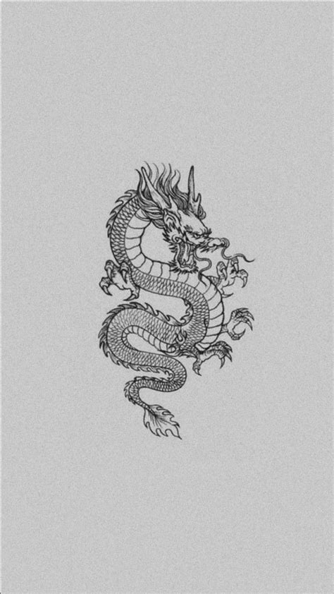 White Chinese dragon, symbol, art HD phone wallpaper | Pxfuel