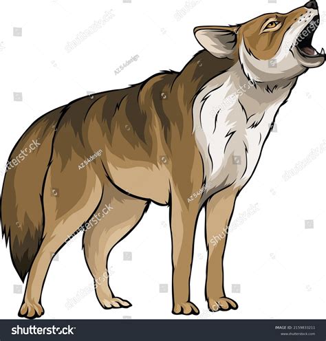 7,861 Cartoon Coyote Stock Vectors, Images & Vector Art | Shutterstock