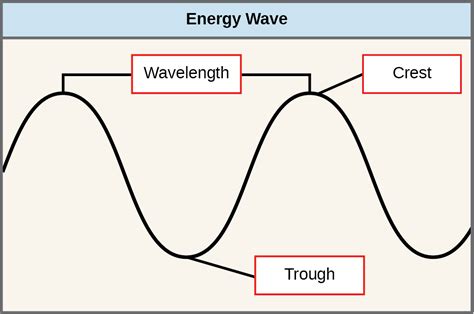 The Light-Dependent Reactions of Photosynthesis | OpenStax Biology 2e