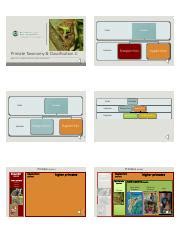 ANTH 120 M5 L2 Primate Taxonomy Part 2 Tarsier and NWM.pdf - Order ...