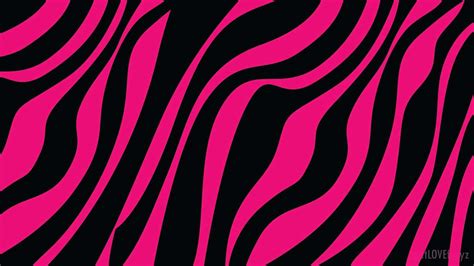 [100+] Pink Zebra Wallpapers | Wallpapers.com