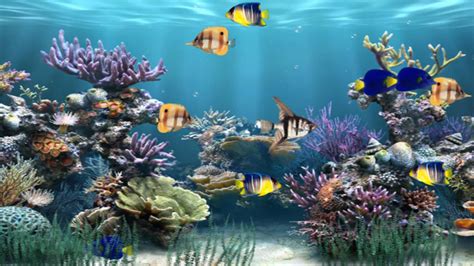 Underwater Animated Desktop Background Zoom Wallpapers Images And | Images and Photos finder