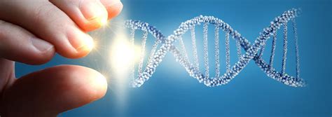 The Power of DNA Testing Explained: Uncovering Insights into Nutrition ...