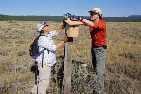 Burns Paiute tribal lands see restoration projects | News | bluemountaineagle.com