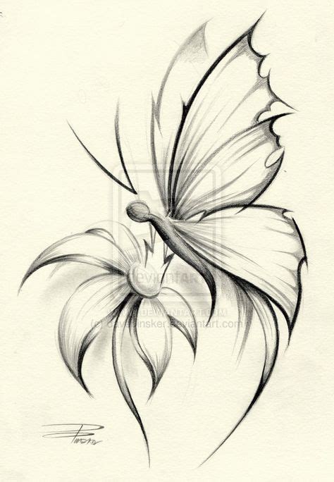 27+ butterfly on a rose drawing - GurdevAzmeer