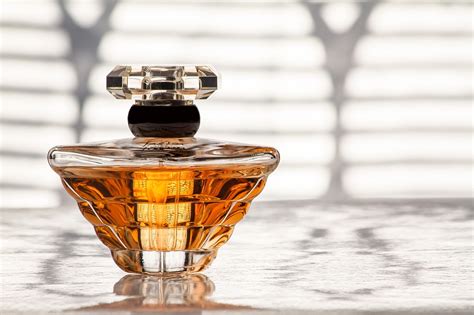 10 Most Expensive Perfumes You Can Buy | Viora London