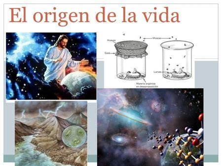 El origen de la vida.> en 2021 | Teoria evolutiva, Origen del universo, Seres vivos