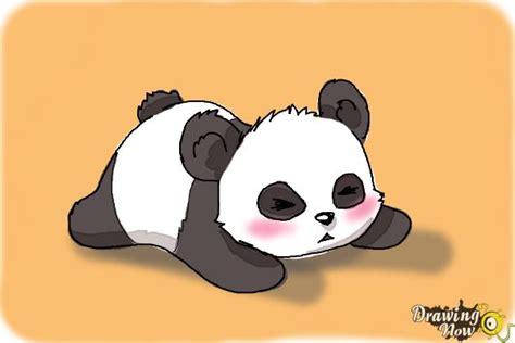 Baby Pandas Drawings