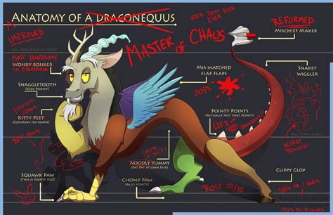 Anatomy of a Draconequus by GhostlyMuse.deviantart.com on @DeviantArt Discord Me, Fluttershy, My ...