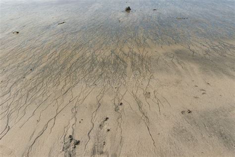 Ripple marks on sand beach stock image. Image of sand - 130020005