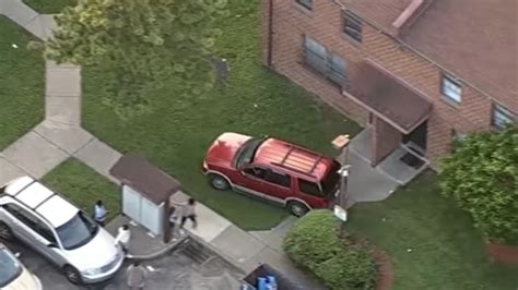 Police chase SUV on lawns, curbs before capturing driver