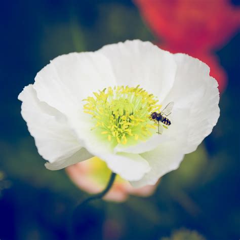 Floriade 2016 on Behance