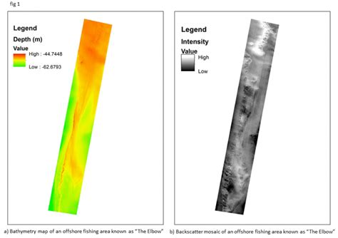 What is a Benthic Habitat Map? – C-SCAMP