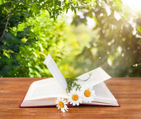 Libro abierto con flores de manzanilla en la mesa de madera en el jardín | Foto Premium