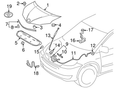 Genuine OEM Hood & Components Parts for 2015 Toyota Sienna LE - Olathe ...