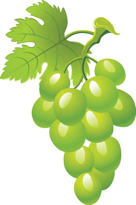 Grapes clipart 5 - Clipartix