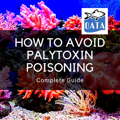 OATA Guide: How to avoid Palytoxin Poisoning | Real Aquatics