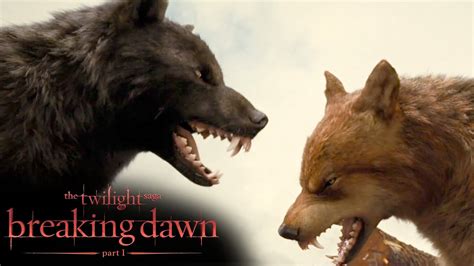 'Jacob Chooses Bella Over His Pack' Scene | The Twilight Saga: Breaking Dawn - Part 1 - YouTube